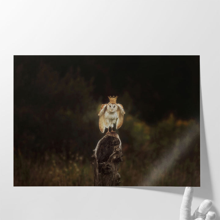 The Owl King - Canvas Print Wall Art