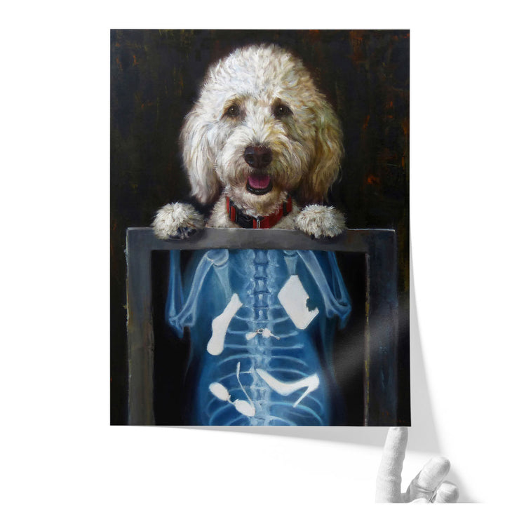 Inside Story - Canvas Print Wall Art
