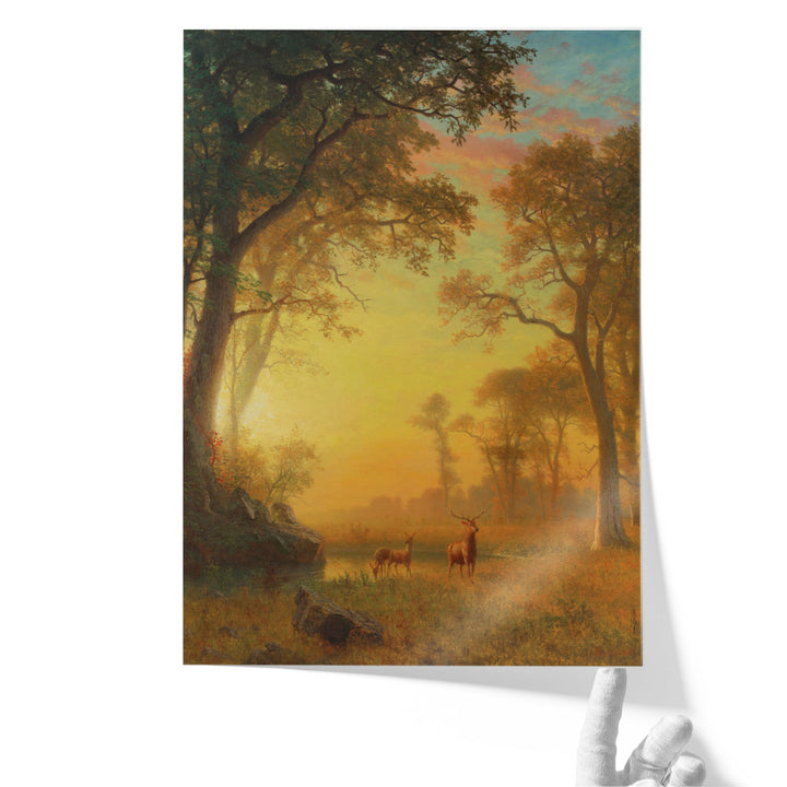 Light In The Forest - Canvas Print Wall Art