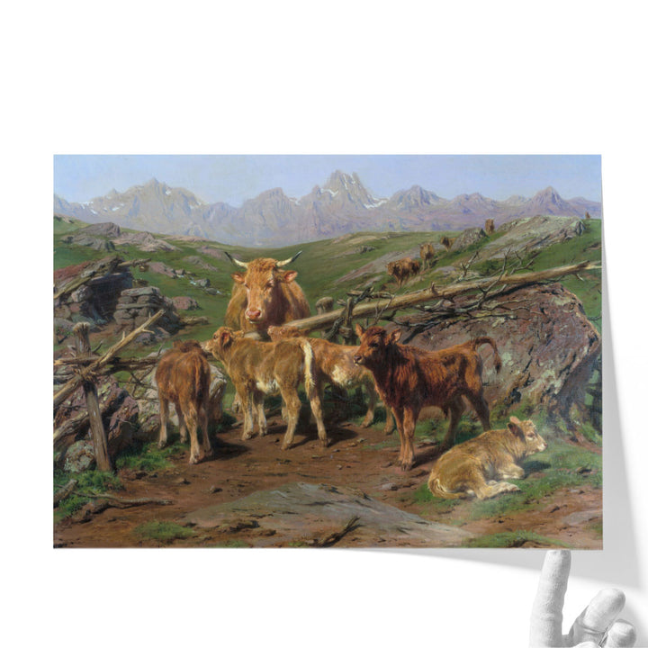 Weaning the Calves - Canvas Print Wall Art