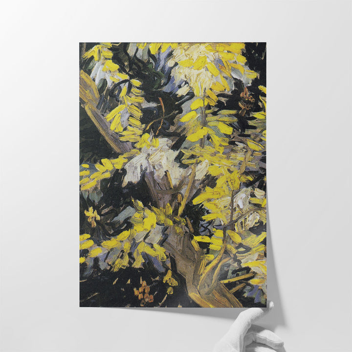 Blossoming Acacia Branches, 1890 - Canvas Print Wall Art