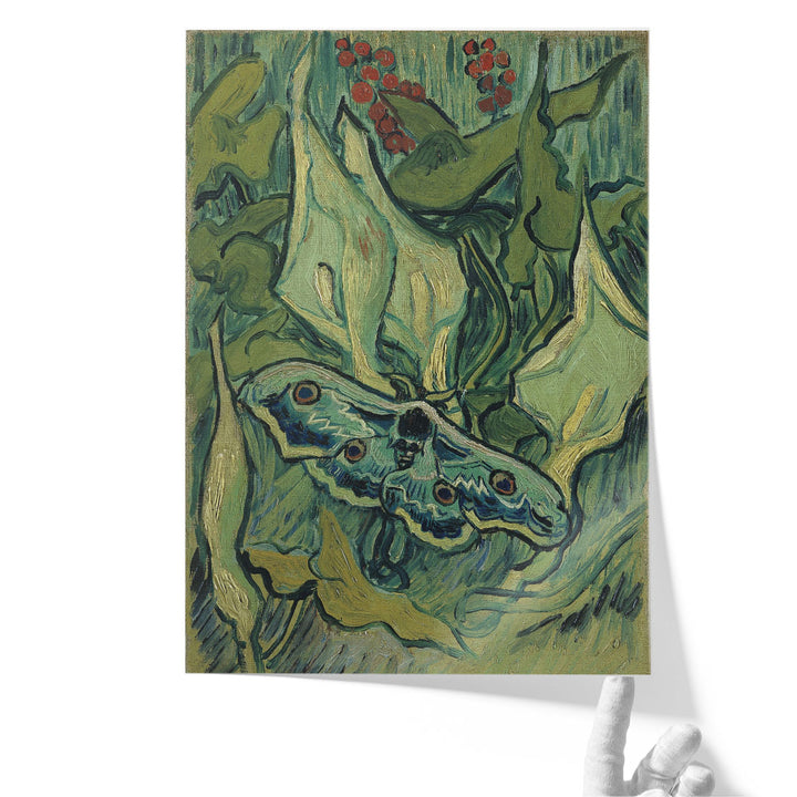 Emperor Moth, 1889 - Canvas Print Wall Art