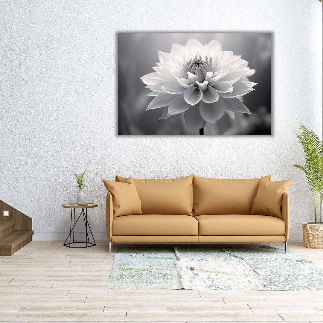 Softness in Monochrome - Canvas Print Wall Art