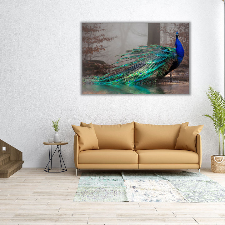 A Beautiful Peacock at a Lakeshore - Canvas Print Wall Art