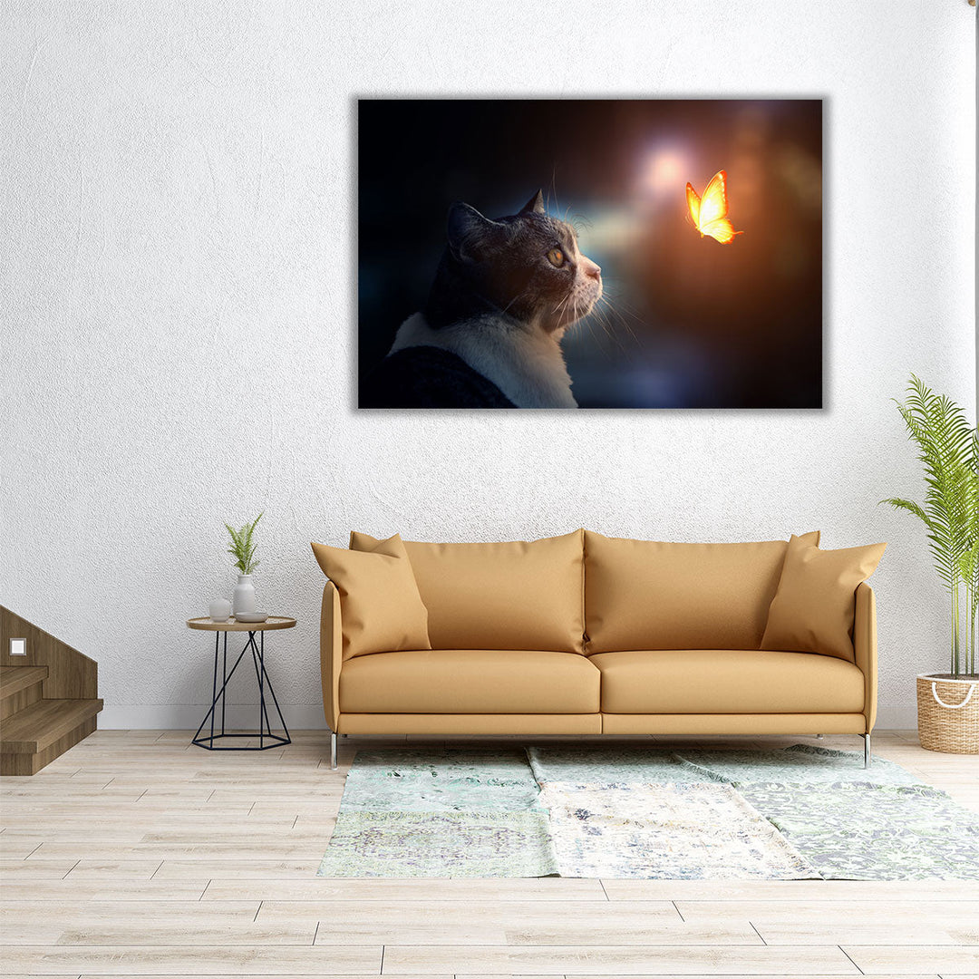 A Cat Looking At A Fantastic Light Butterfly - Canvas Print Wall Art