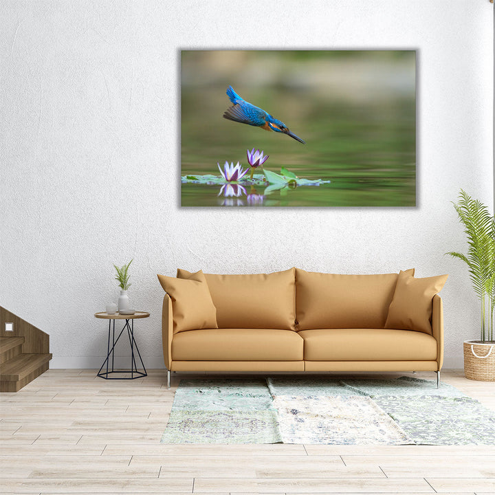 Diving Kingfisher - Canvas Print Wall Art