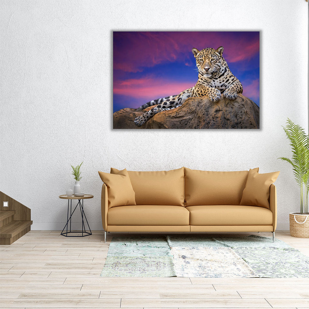 Jaguar On The Rocks - Canvas Print Wall Art