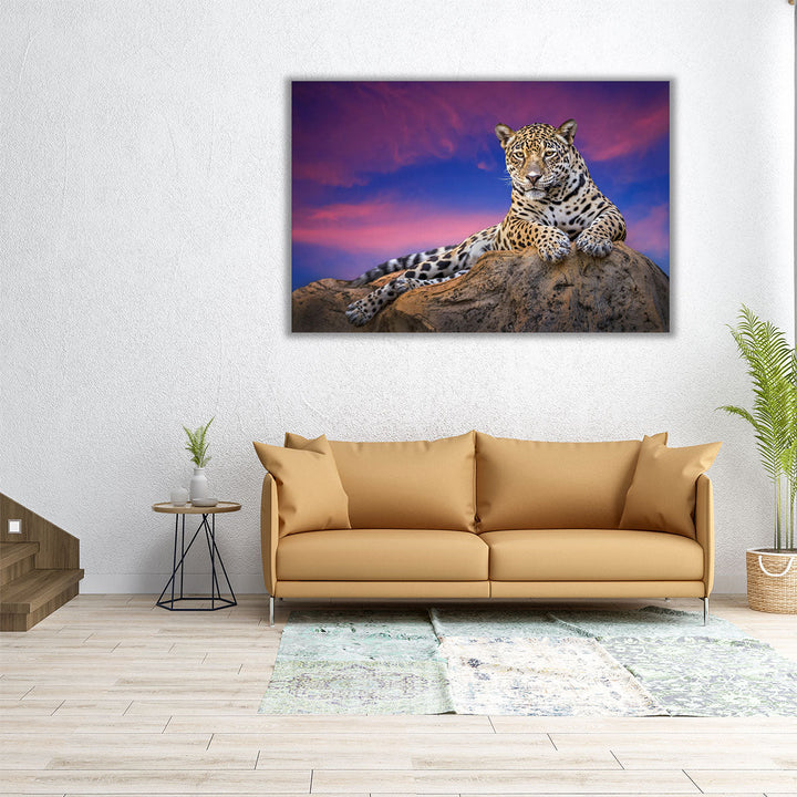 Jaguar On The Rocks - Canvas Print Wall Art