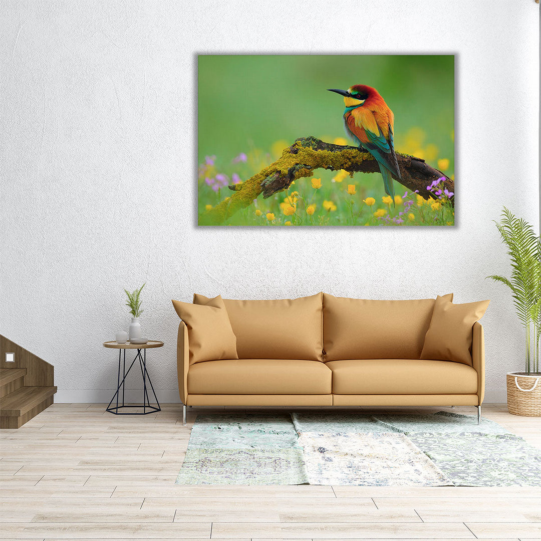 Bee-Eater Sitting on a Branch - Canvas Print Wall Art