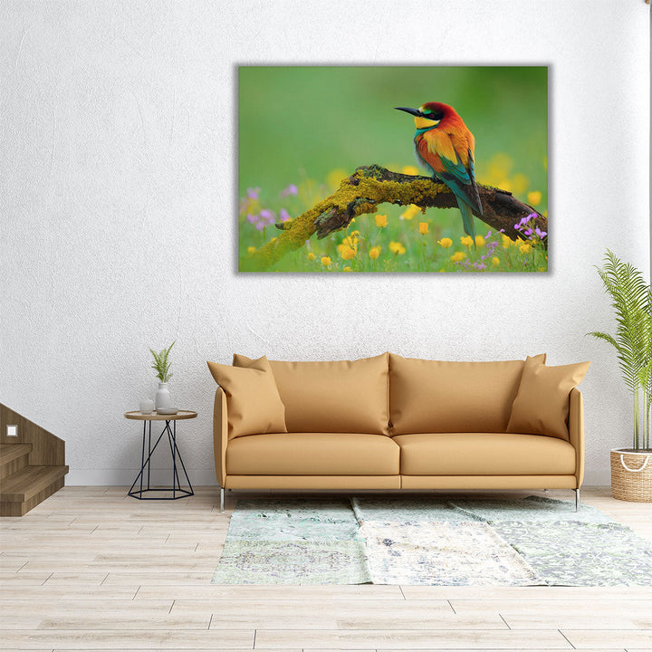 Bee-Eater Sitting on a Branch - Canvas Print Wall Art