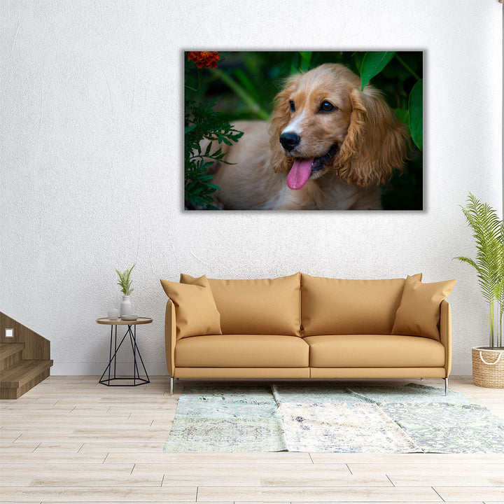 A Happy Cocker Spaniel - Canvas Print Wall Art