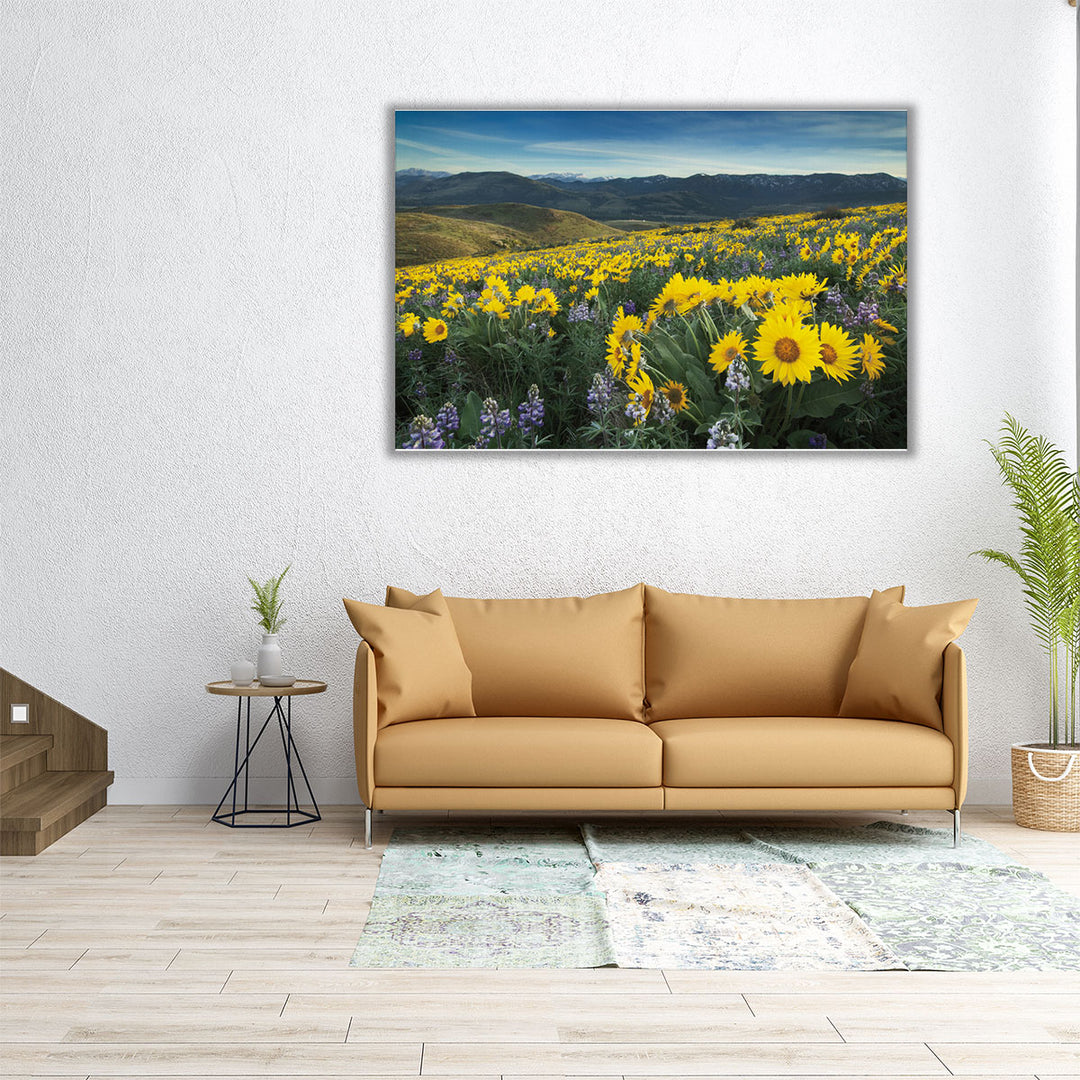 60x40 canvas featuring wildflowers and serene landscapes