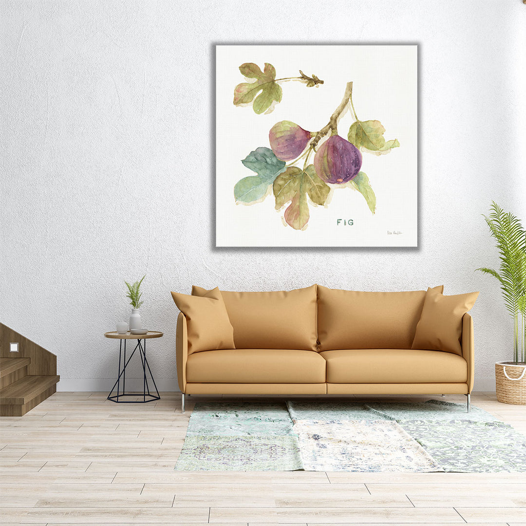 Orchard Bloom III - Canvas Print Wall Art