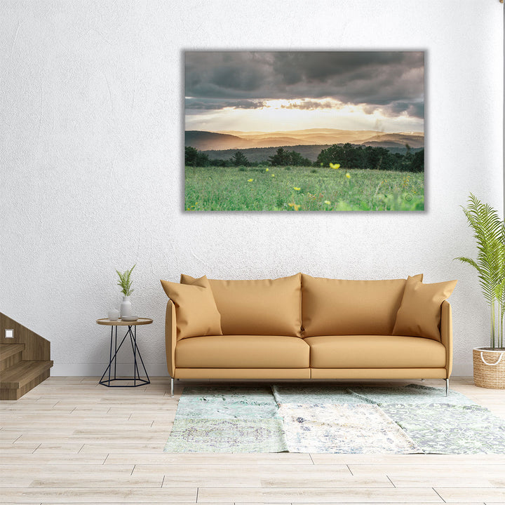 30x20 flower and meadow wall art with gray clouds