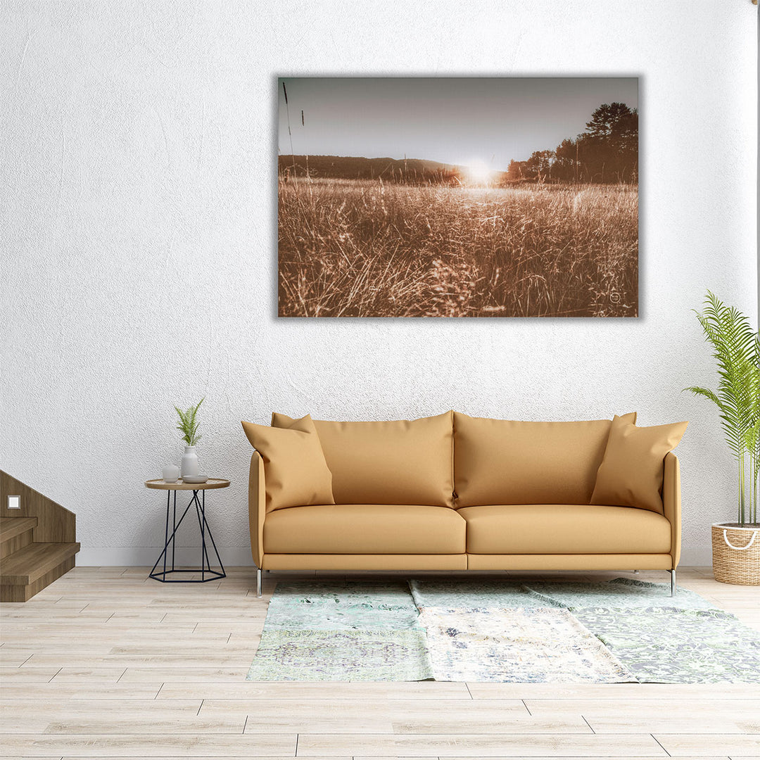 Large wall art golden fields and sky