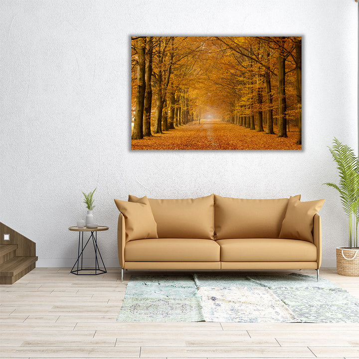 Autumn Trees - Canvas Print Wall Art