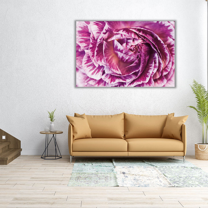Square abstract ranunculus flower wall print