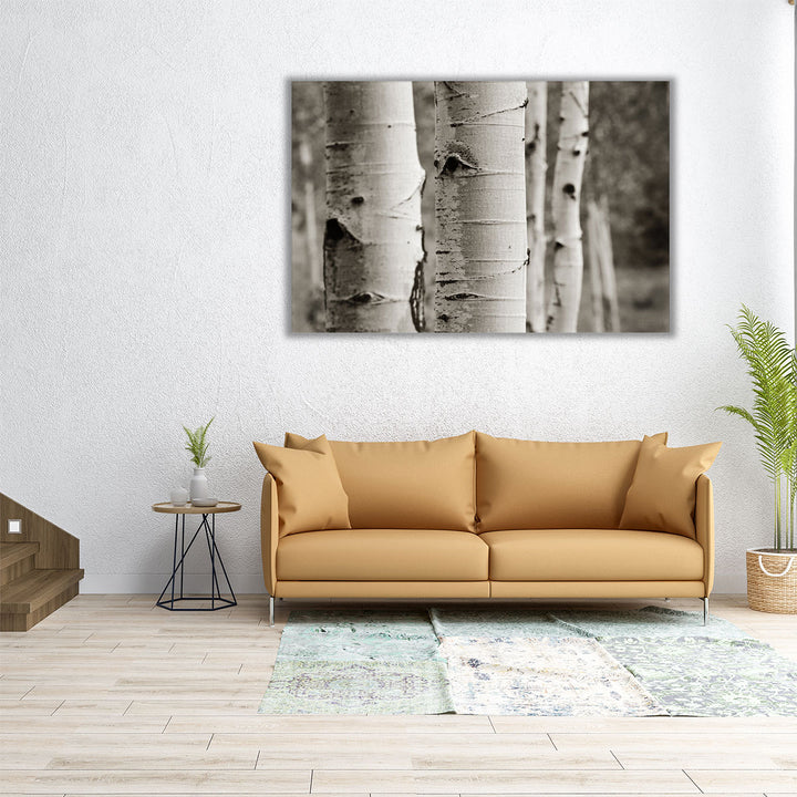 Aspens III - Canvas Print Wall Art