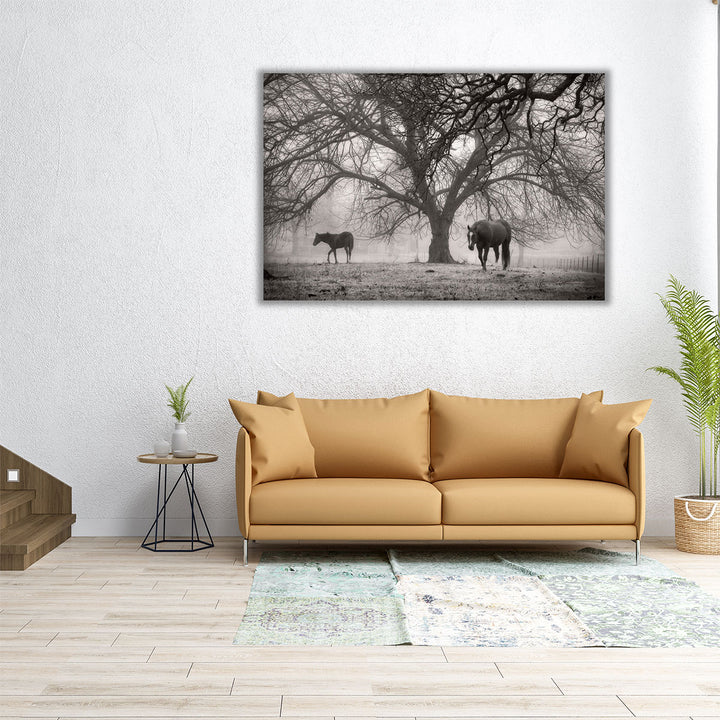 30x20 autumn tree and animal photo print