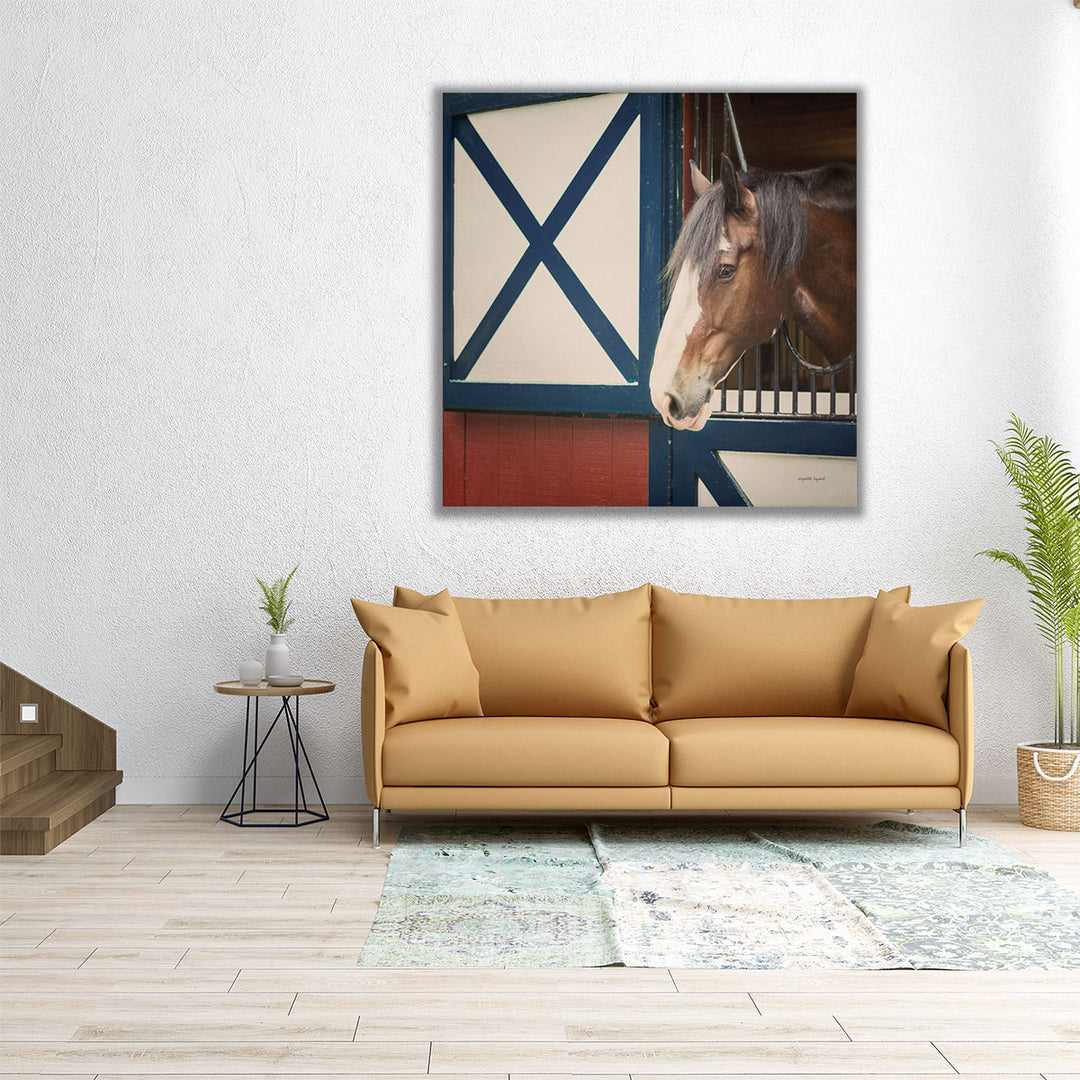 Patriotic Pony I - Canvas Print Wall Art