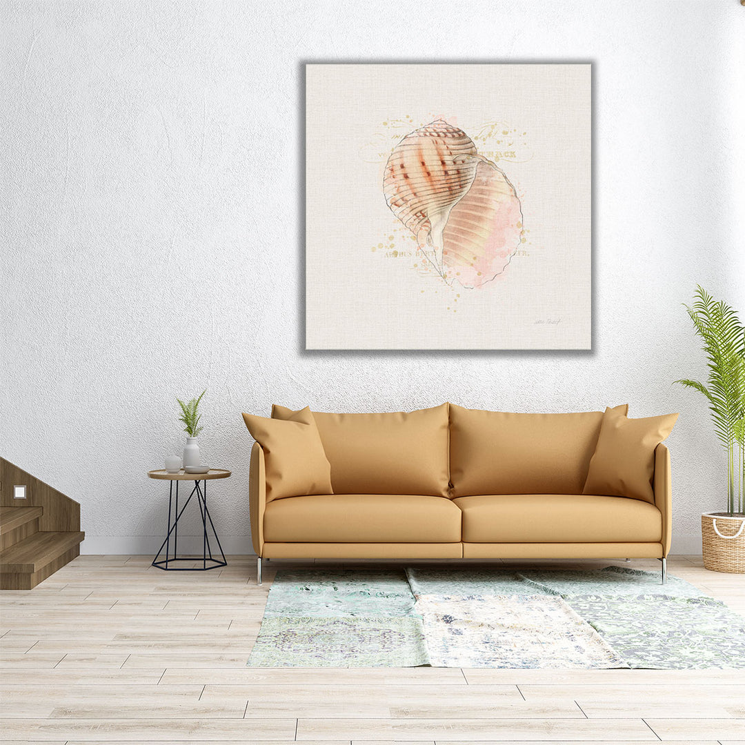 Shell Collector V - Canvas Print Wall Art