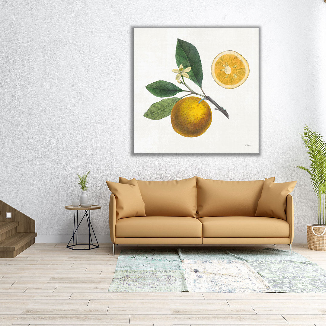 24x24 Canvas Print – yellow slice detail