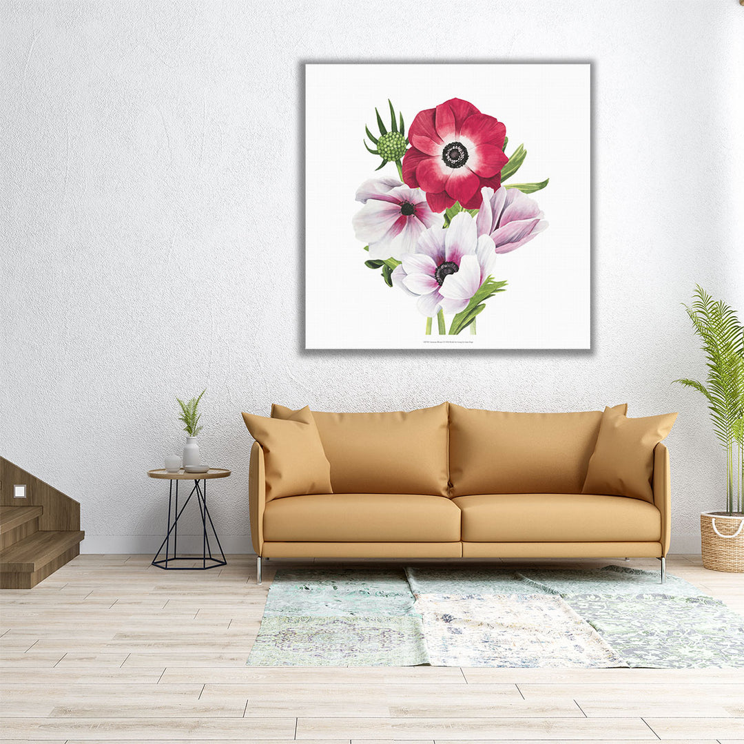 Anemone Blooms I - Canvas Print Wall Art