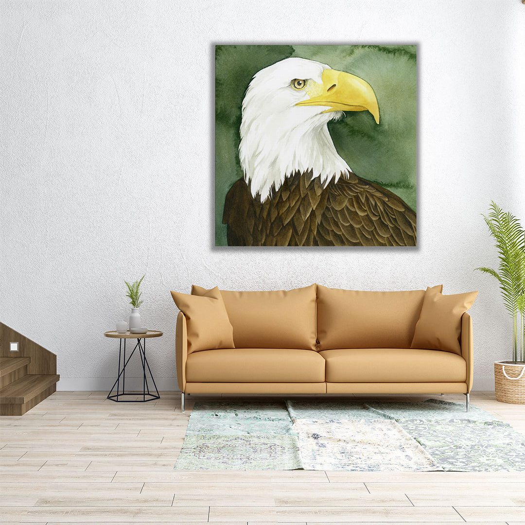 Bald Eagle Stare I - Canvas Print Wall Art