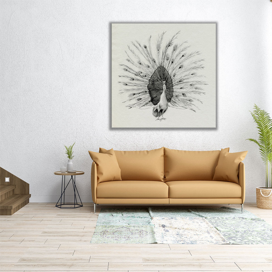 Ebony Plumed Peacock I - Canvas Print Wall Art