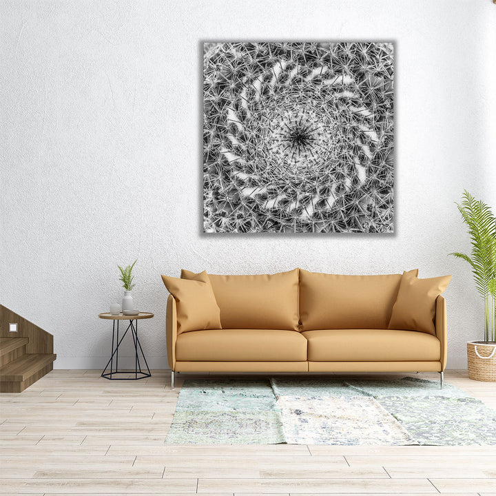 Cacti Close Up - Canvas Print Wall Art