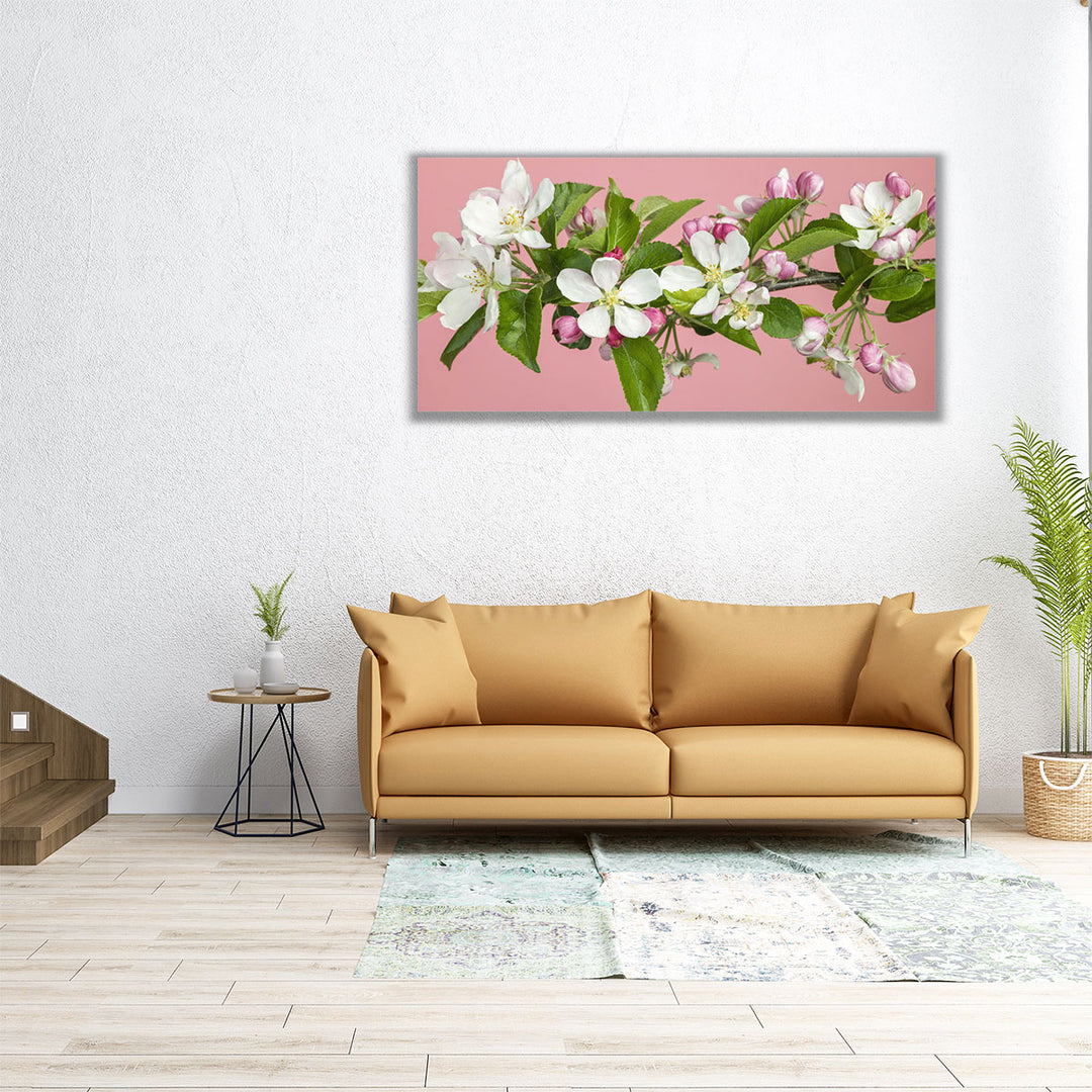 Apple Blossom - Canvas Print Wall Art