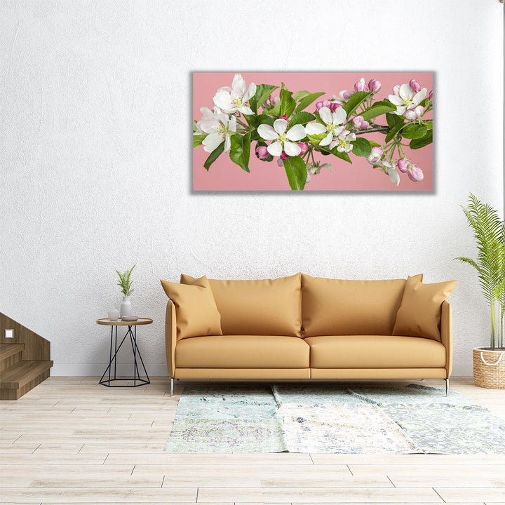 Apple Blossom - Canvas Print Wall Art