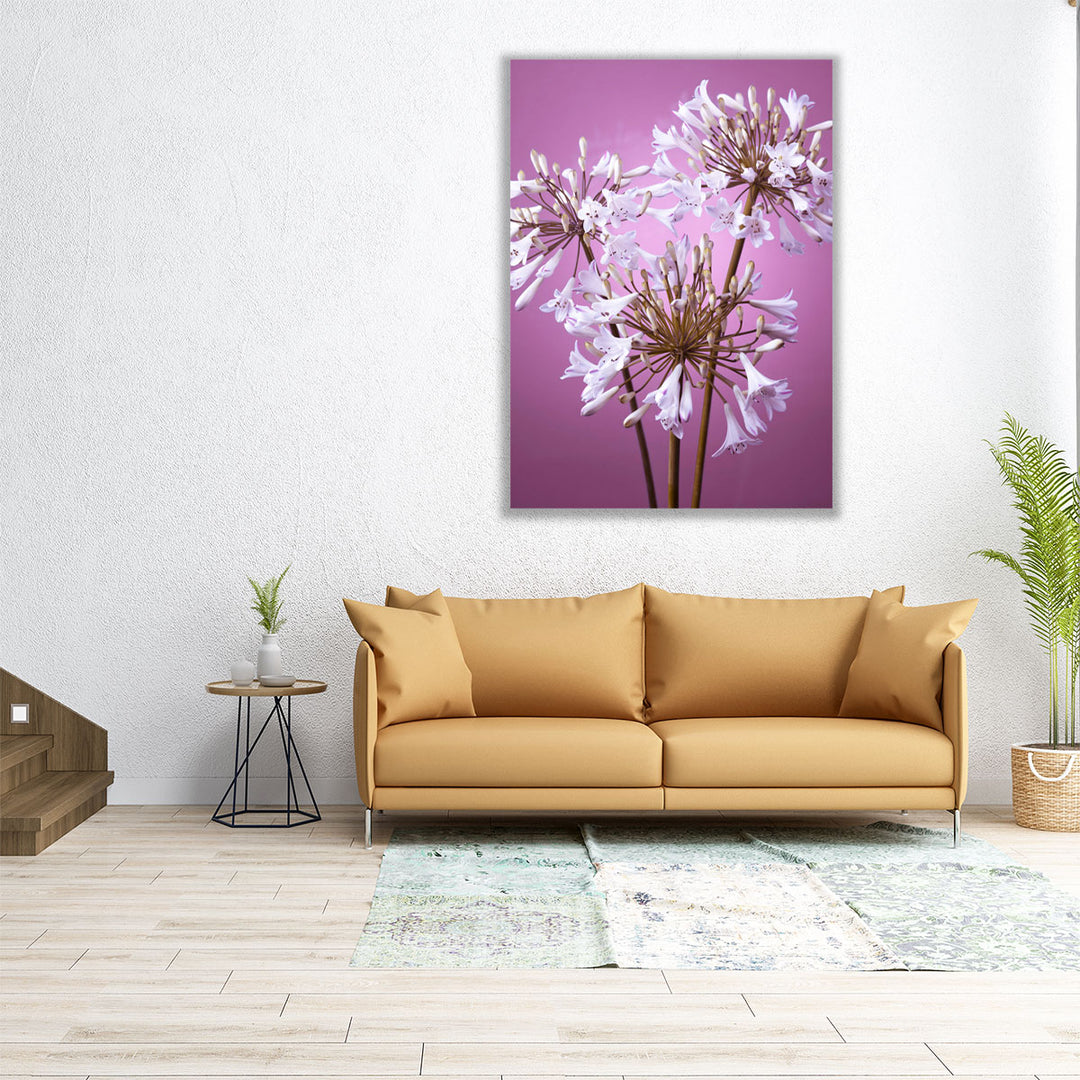 African Lily 1 - Canvas Print Wall Art