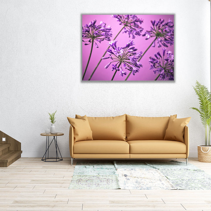 African Lilies 1 - Canvas Print Wall Art
