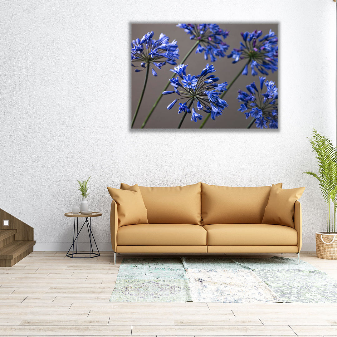 African Lilies 2 - Canvas Print Wall Art
