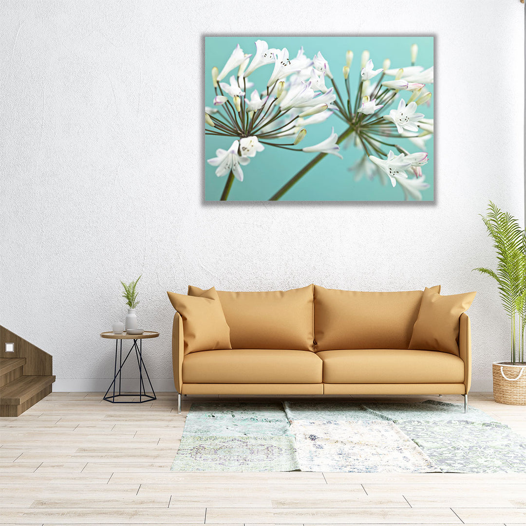 African Lily 2 - Canvas Print Wall Art