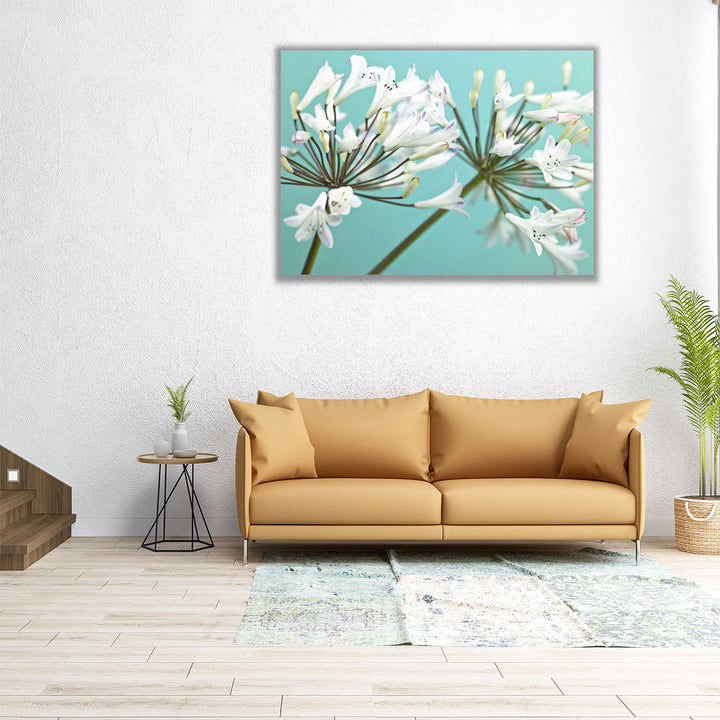 African Lily 2 - Canvas Print Wall Art