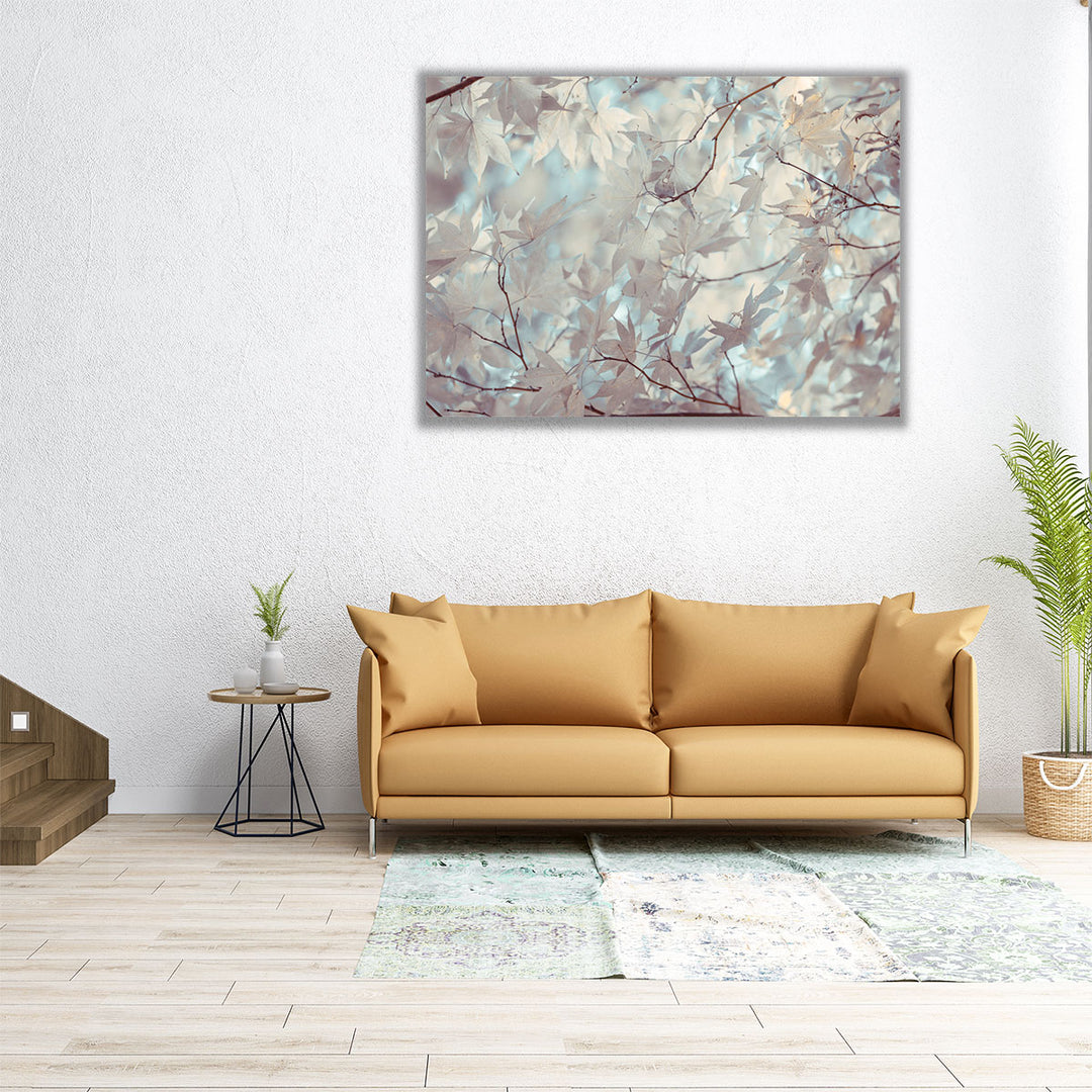 Autumn Coloured Leaves Backlit - Canvas Print Wall Art