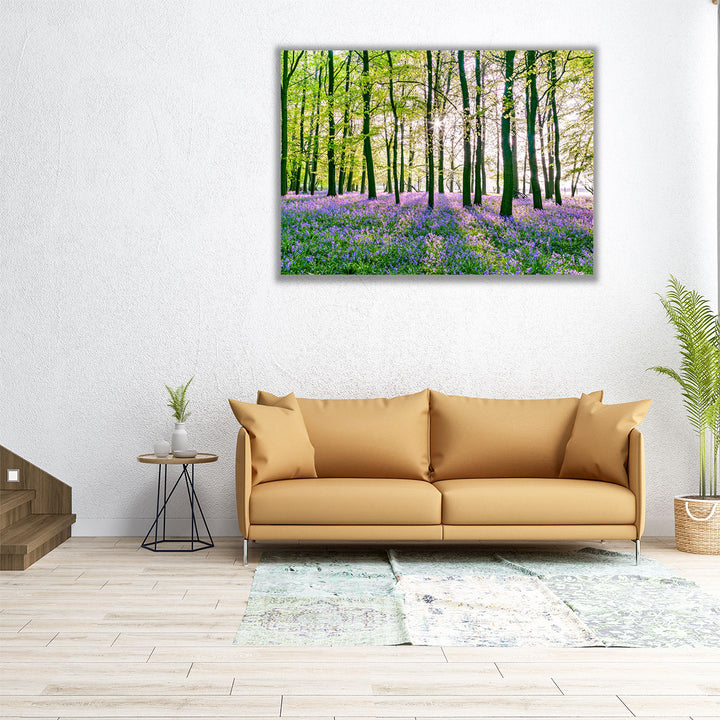 Bluebells Covering Forest Floor - Canvas Print Wall Art