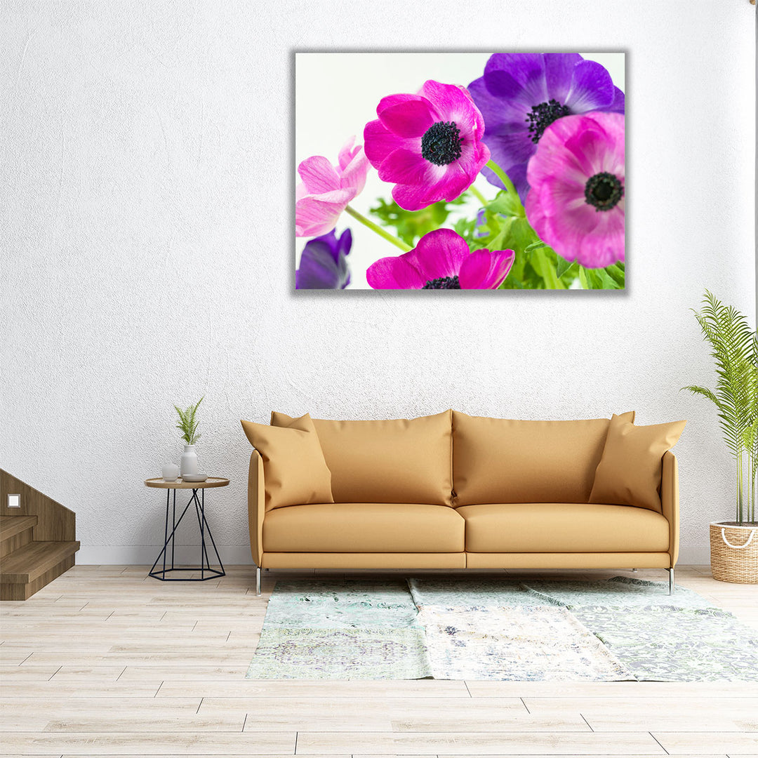 Bunch of Anemone Flowers - Canvas Print Wall Art