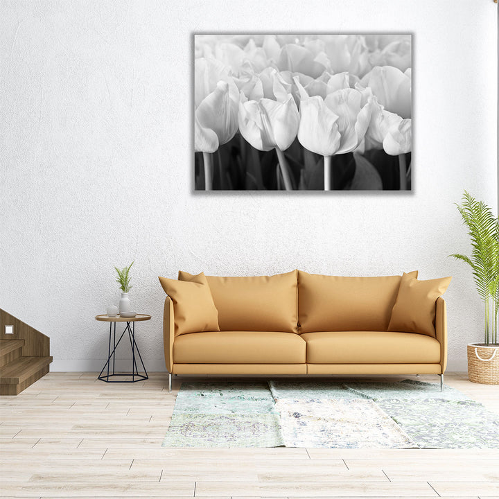 Bunch Of Tulips Close-up - Canvas Print Wall Art