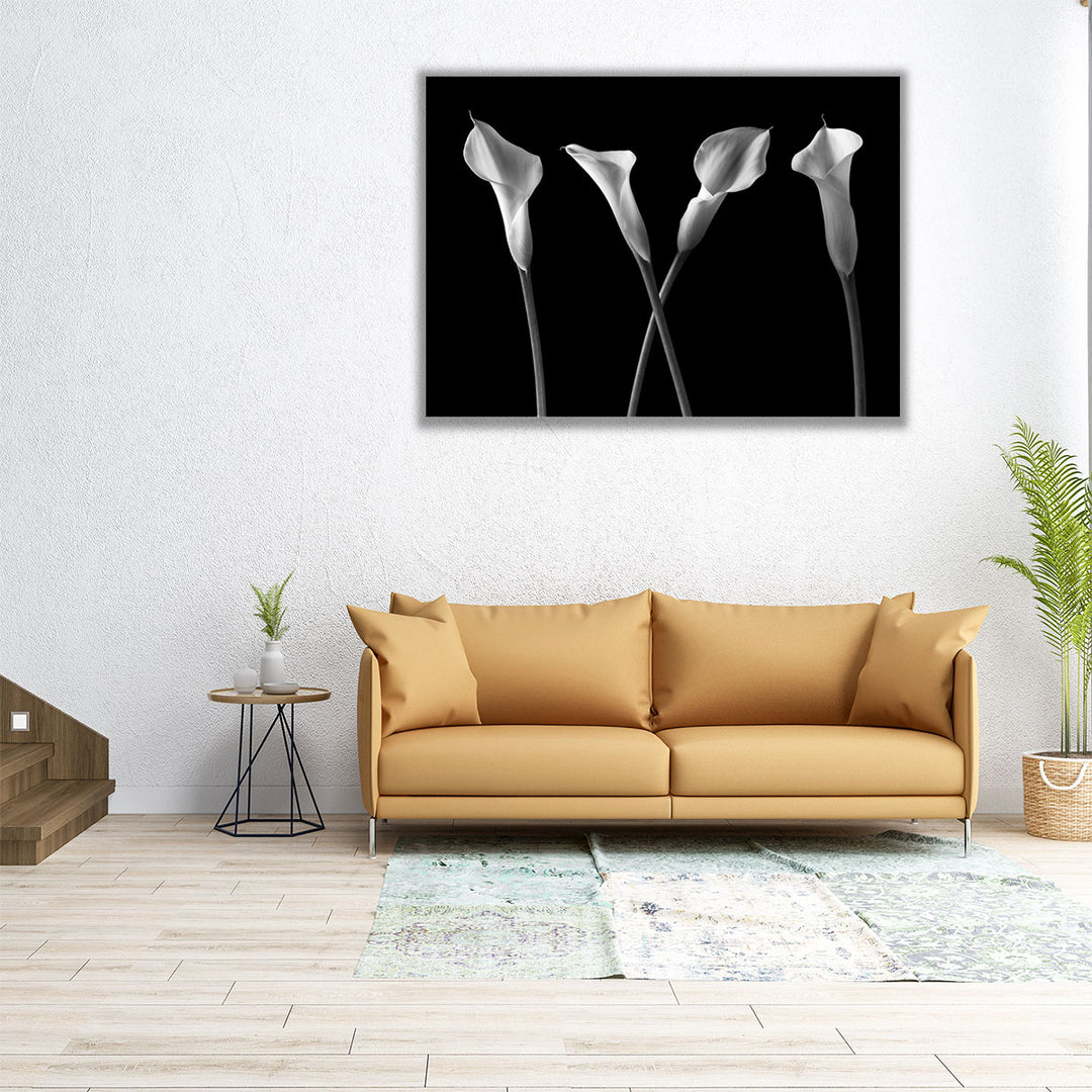 Calla Lilies In A Row Black And White - Canvas Print Wall Art