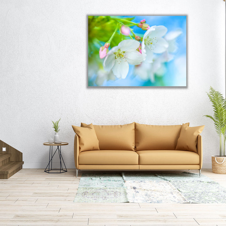 Cherry Blossom - Canvas Print Wall Art
