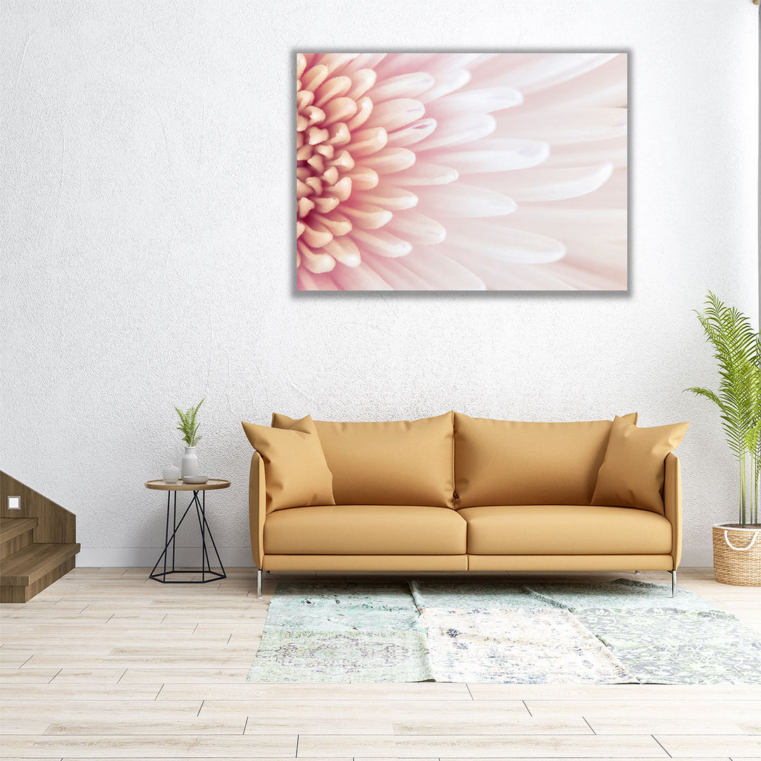 Chrysanthemum Petals - Canvas Print Wall Art