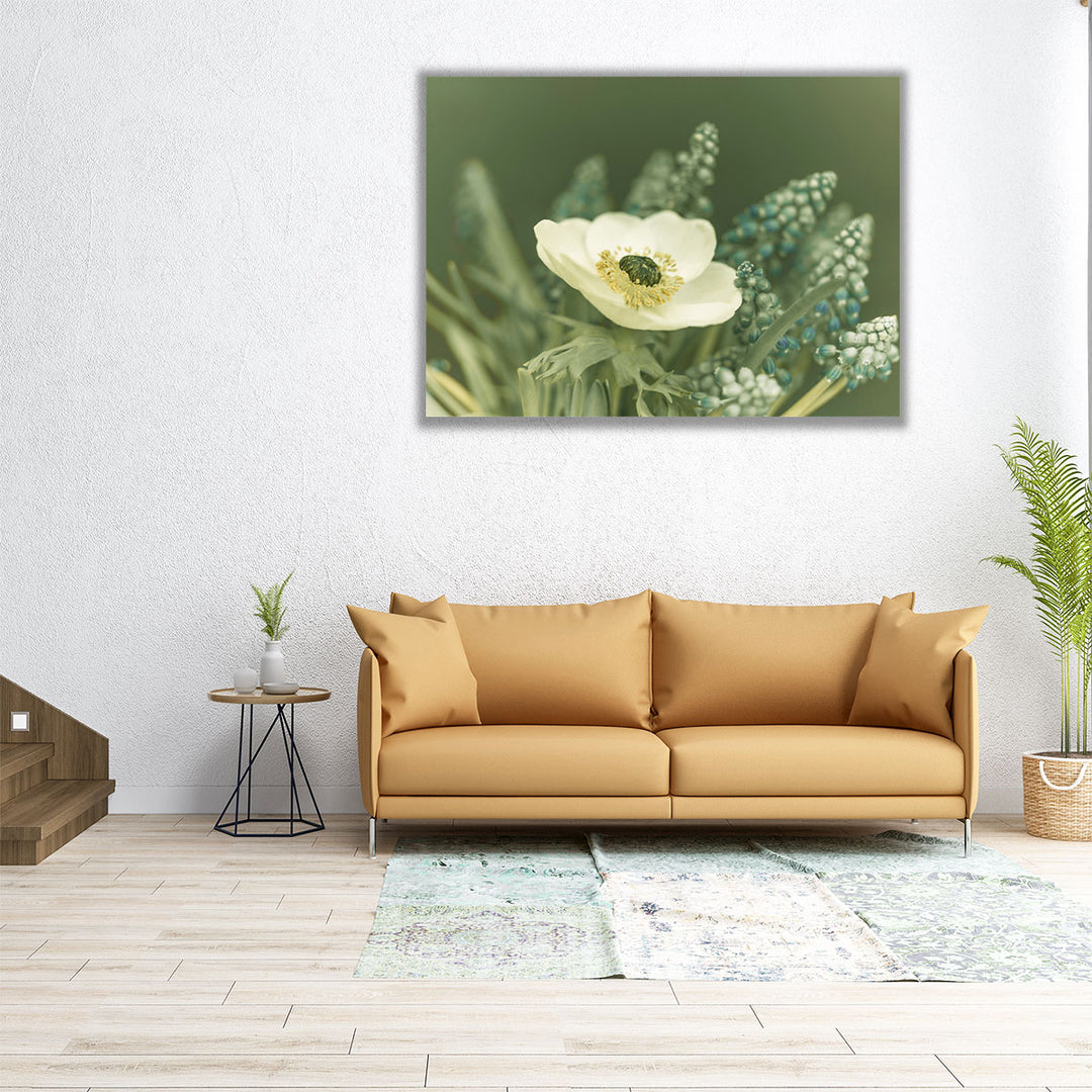 Close-Up Of Anemone Flower - Canvas Print Wall Art