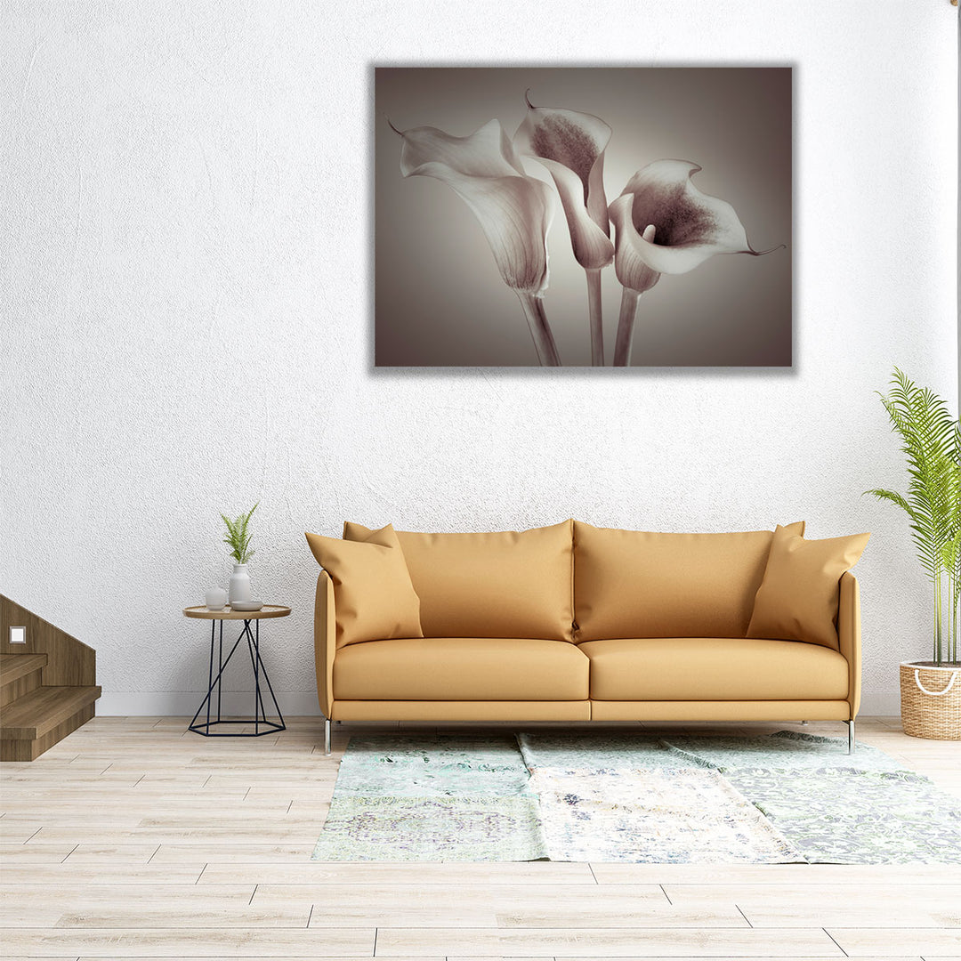 Close-up Of Three White Calla Lilies Neutral - Canvas Print Wall Art