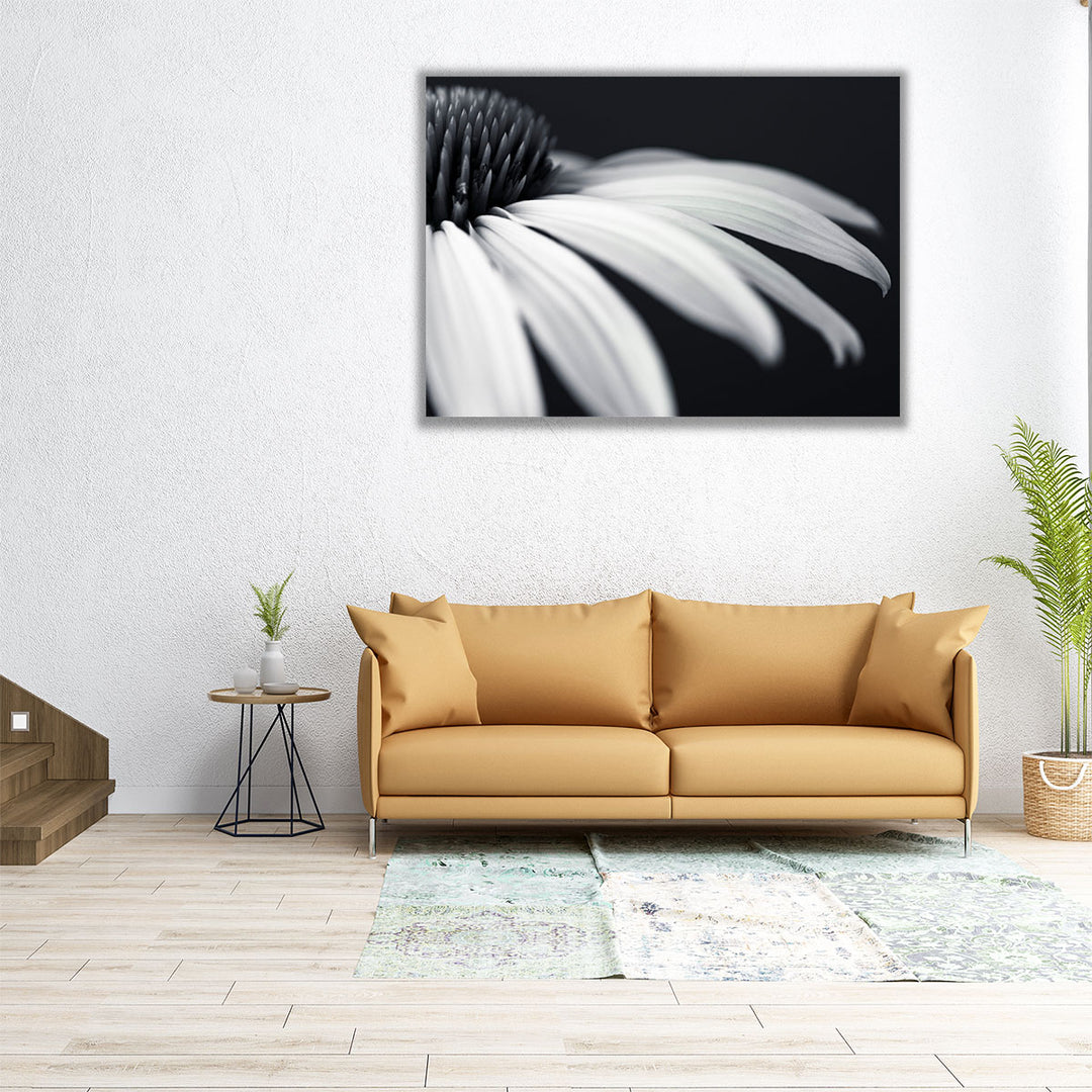 Coneflower Close-up Black and White - Canvas Print Wall Art