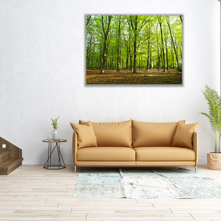 Forest At Spring Time - Canvas Print Wall Art
