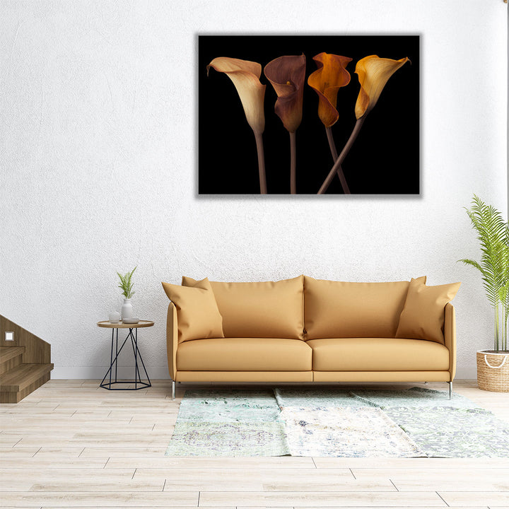 Four Calla Lilies 2 - Canvas Print Wall Art