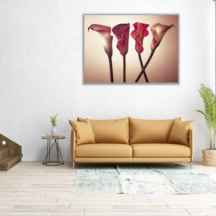 Four Calla Lilies 3 - Canvas Print Wall Art